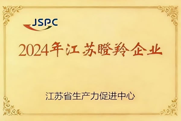 Gazelle enterprises in Jiangsu Province